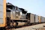 NS 1213